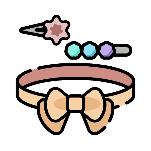 الاكسسوارات